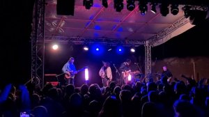 АлоэВера - Георгины