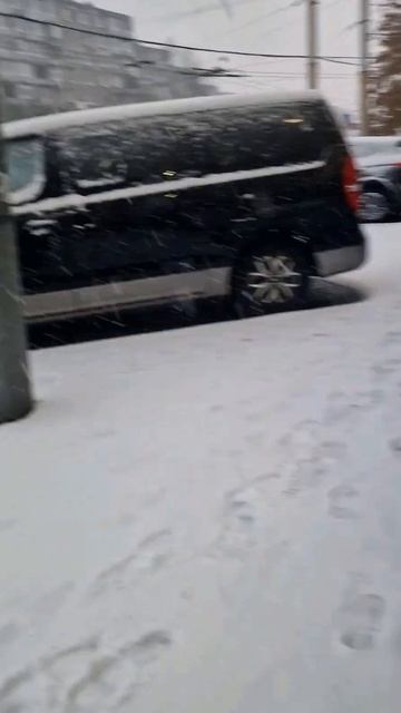 Из Германии в Россию. Зима в Калининграде. Первый сне? смотреть онлайн