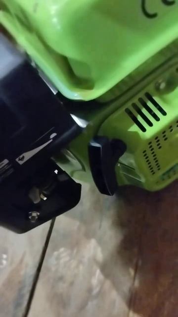 Запуск двигателя SWAT EG 6.5 л.с., после 10 лет простоя