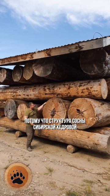 РАЗМЕР ИМЕЕТ ЗНАЧЕНИЕ! #Shorts смотреть онлайн