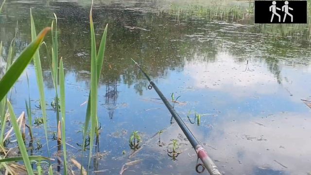 МЕГА РЫБАЛКА на ВОТКИНСКОМ ВОДОХРАНИЛИЩЕ 🎣