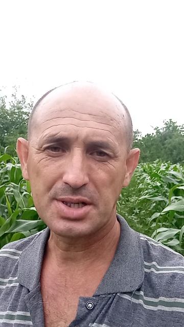 Сей семя в дух. смотреть онлайн
