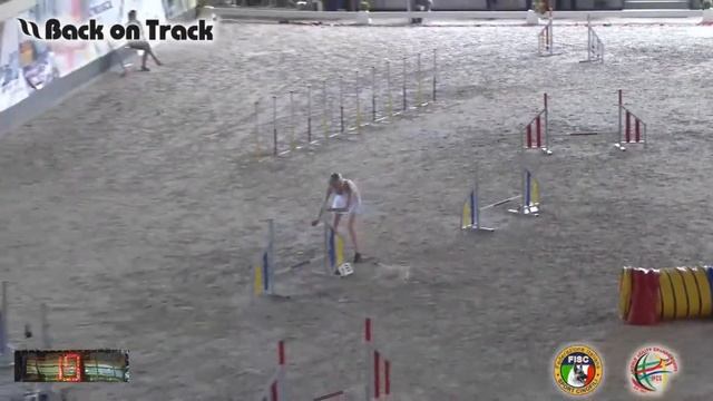 4 2018 World Agility Championship снукер Томилова