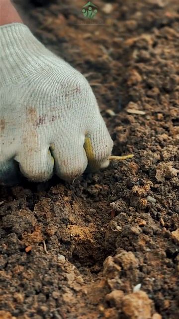 ОБЫЧНЫЕ БУДНИ В РЕАБИЛИТАЦИИ #youtube #семья #зож #вред #победитьстресс #психология #shorts