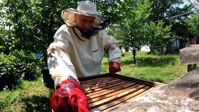 ‼️Чи є мед на пасіці Юного Ентузіаста? Перевіряю свої вулики. Скільки меду є в червні?