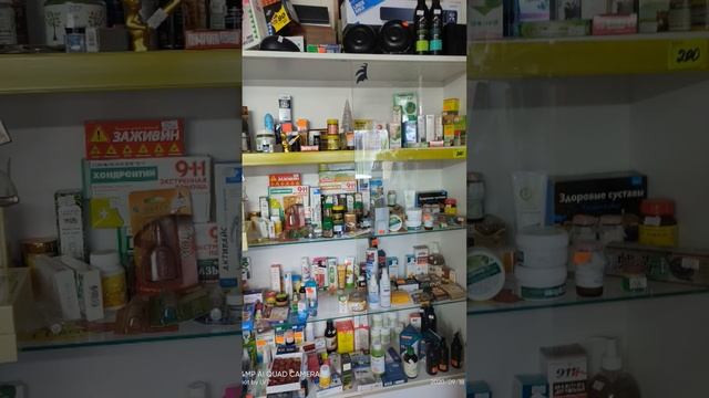 В Наше время есть всё кроме развития и земли для ИП кот смотреть онлайн