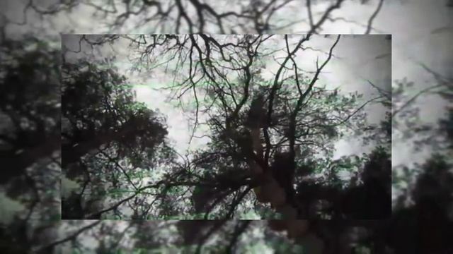 IVAIN DEPTY-Голодный пёс Deluxe. (Strange Video)