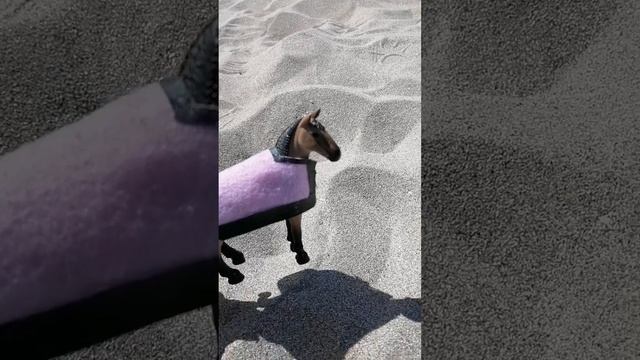 Лошади шляйх на пляже! 😃Мини фильм