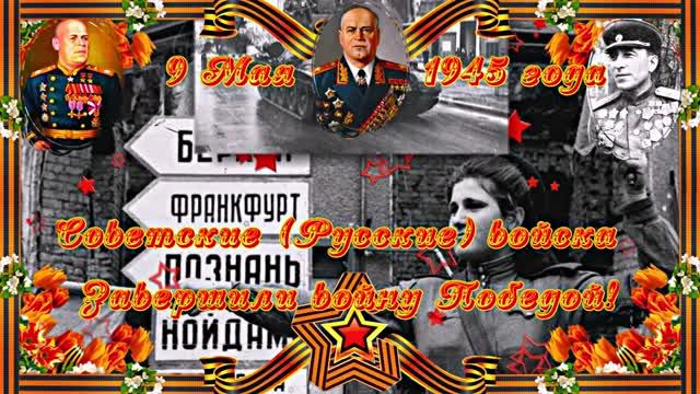 С ДНЁМ ПОБЕДЫ! Поздравление 1 от Киностудии Мудрого Кота Тимофея!
