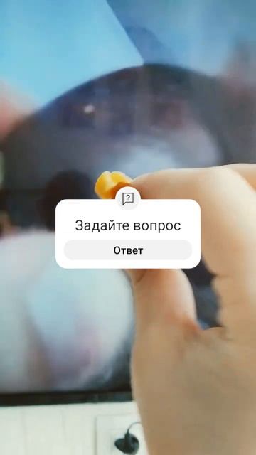 Съел сопли, и чуть не блев***.@candy_ket_may @FluffyAbomination @дифи @MCLA смотреть онлайн