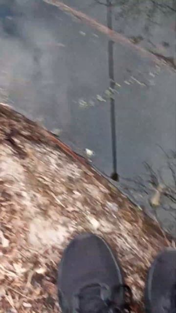 Рыбалка на поплавок в Москве #fishing #bassfishing #ротан #попла?