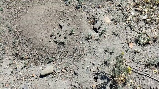 Влог : Прогулка по городу.Река.Мечеть.Поезд.Детская пл? смотреть онлайн