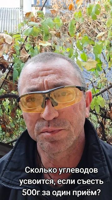 Сколько углеводов усвоится, если съесть 500г за один пр? смотреть онлайн