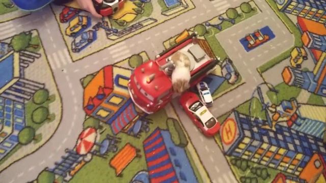 Хомяк, пожарный! Hamster's going to put out the fire! Пожарная машина. #хомяк #игрушки #hamster смотреть онлайн