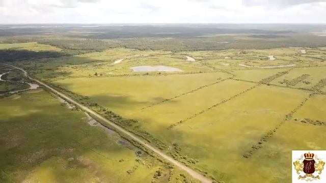 Тюменский гектар 100 соток от 99тр смотреть онлайн