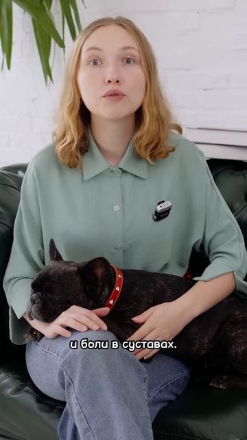 Почему собака писается дома? #собака #дрессировка смотреть онлайн