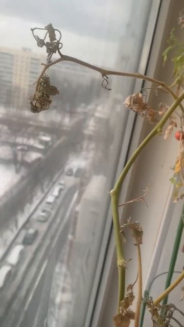 16.01.22 ч 2 урожай смотреть онлайн