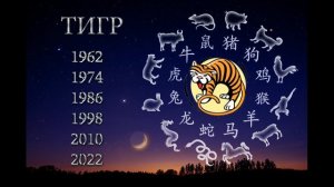 в год каких животных по КИТАЙСКОМУ календарю рождаютс