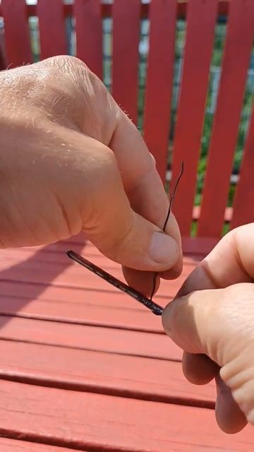 Формирование фикуса Бенжамина. #фикус #фикусбенджами? смотреть онлайн