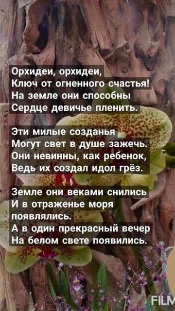 Стих Орхидеи)) смотреть онлайн