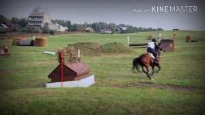 Кросс|Конный спорт|