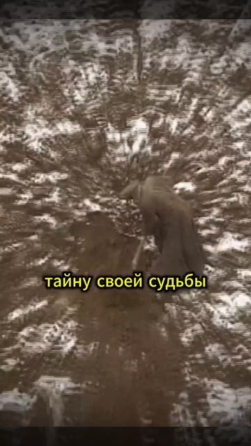 Волшебная вода в Пятигорске🫧@tv3_international #ГородскиеЛег смотреть онлайн