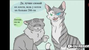 Коты воители приколы