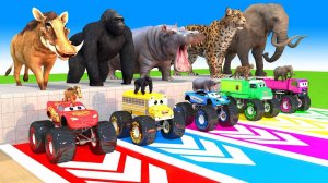 Развивающий мульт про машинки