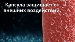 УРОК 20|7 класс. Строение и жизнедеятельность бактерий