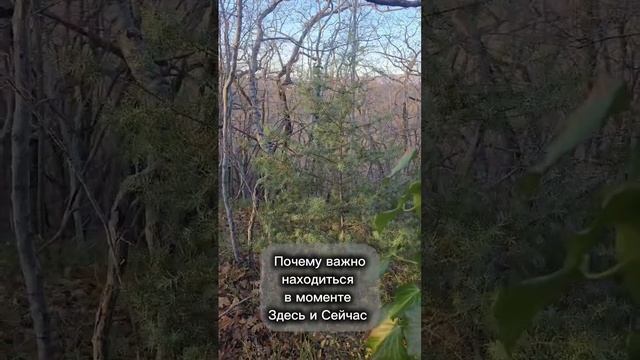 В январе у вас есть возможность подарить себе 7 дней ра смотреть онлайн