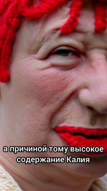 #Перга спасёт от мигрени 🤦♂️ 8/10 причин есть пергу е смотреть онлайн