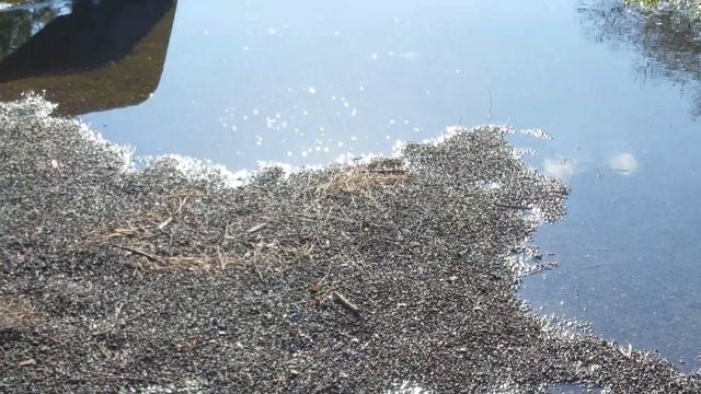 Подтопленная дождями детская площадка в районе Тель А