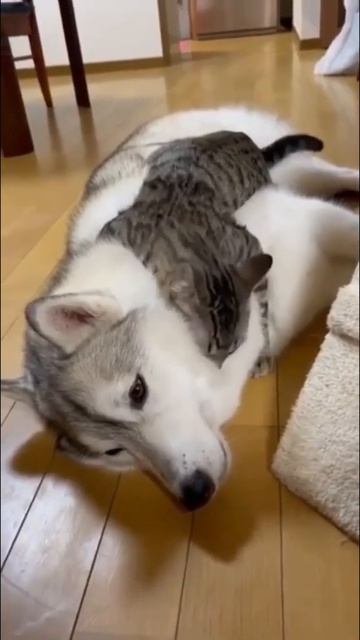 Такие разные, а любовь настоящая смотреть онлайн