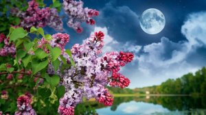 ✨ ОЧЕНЬ КРАСИВАЯ ИСЦЕЛЯЮЩАЯ МУЗЫКА ДЛЯ БАЛАНСИРОВКИ 7 ЧАКР: ПУТЬ К ГАРМОНИИ И БЛАГОПОЛУЧИЮ