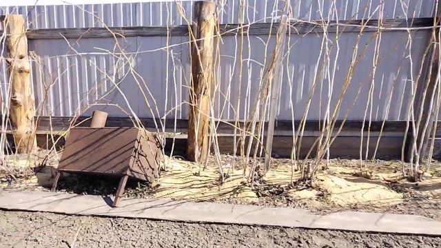 Начала сажать картошку смотреть онлайн