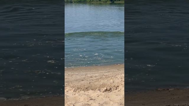 Витя Краб ( вайн ) прикол, юмор , смех , вайн смотреть онлайн