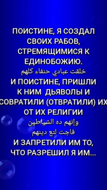 Аллах разрешил есть мясо некоторых животных! #shorts смотреть онлайн