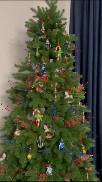 Видео отзыв покупателя на ель Изольда 210 см смотреть онлайн