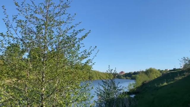 релакс смотреть онлайн