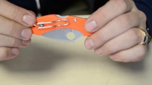 Крутой нож Spyderco Dragonfly2