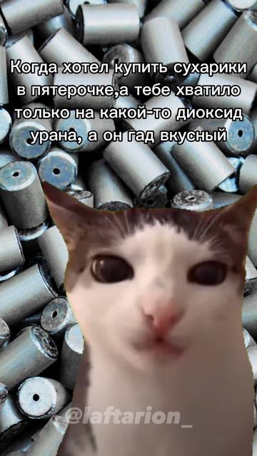 я ем диоксид урана на завтрак. Вопросы? #мем#мемы#котхр? смотреть онлайн