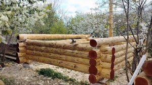 Баня из бревна  Часть 1 Рубка сруба