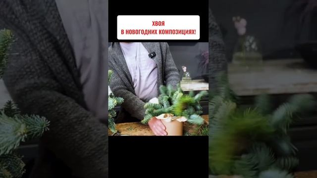 🎄ХВОЯ в новогодних композициях! #хвоя #новогодняяком? смотреть онлайн