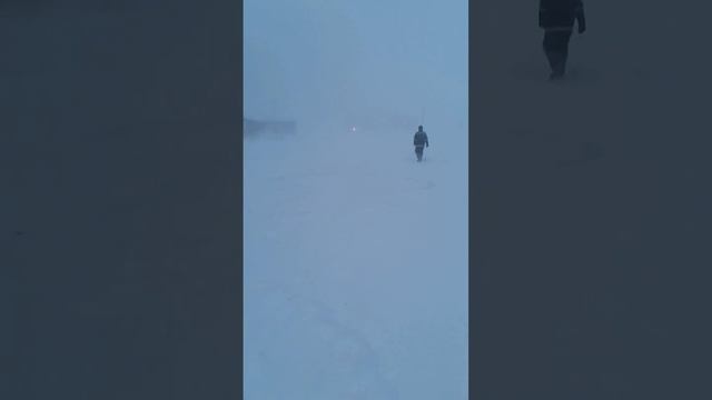 Жизнь, как она есть. Камчатка. с. Кострома. 26ноября2023 г. смотреть онлайн