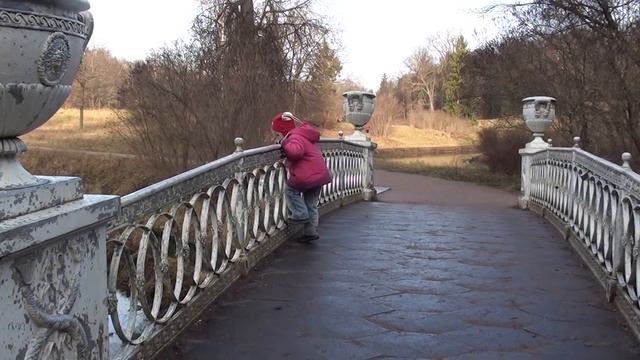 2013 11 09 Павловск смотреть онлайн