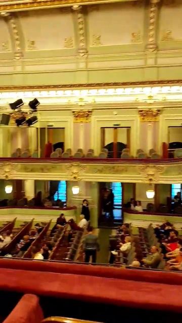 Вот такие театры в Петербурге 😉 Маленький праздник #п смотреть онлайн