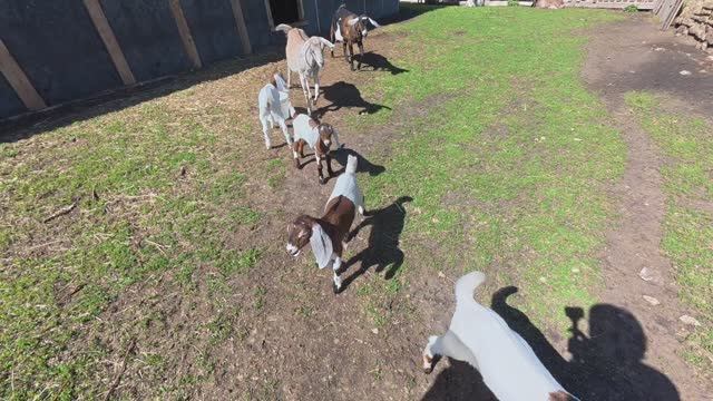 Кто бы мог подумать! смотреть онлайн