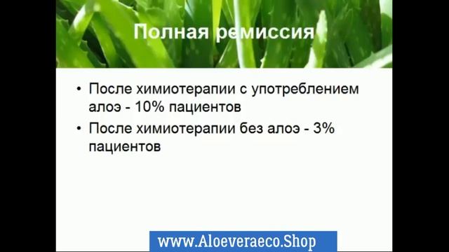 Применение Алоэ Вера параллельно с химиотерапией Исс смотреть онлайн