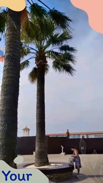 #shorts# Travel Russia Это Сочи,Россия,Краснодарский край #реком смотреть онлайн