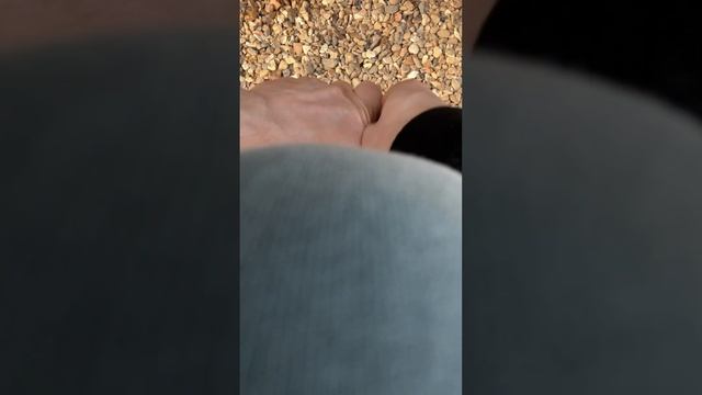 Make It Yourself Maestros